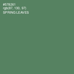 #578261 - Spring Leaves Color Image